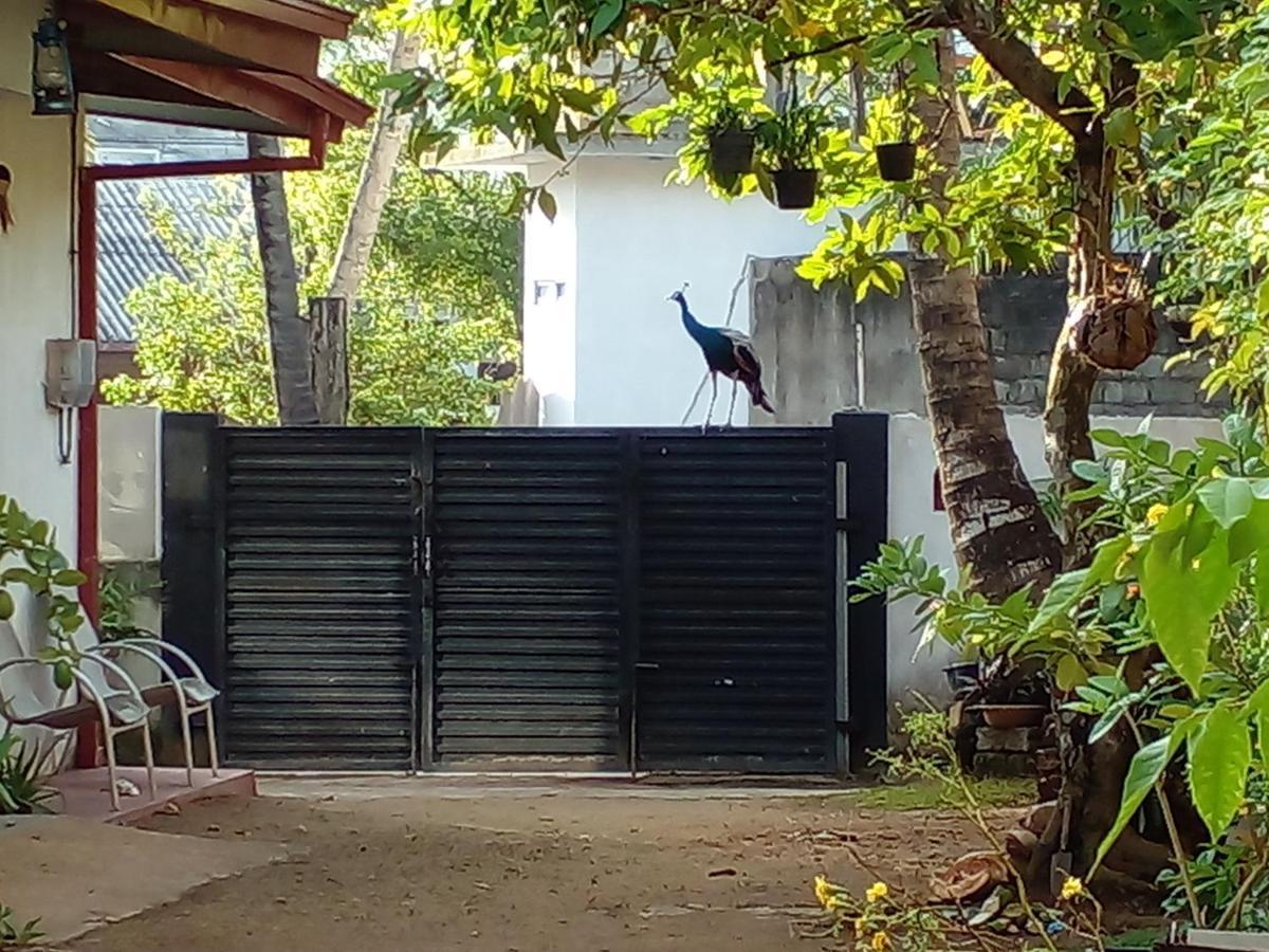 4Ty Two Homestay Galle Luaran gambar