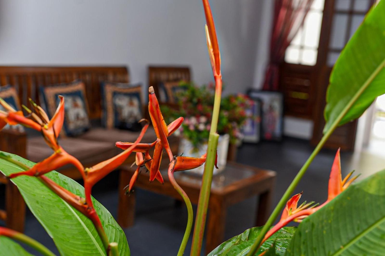 4Ty Two Homestay Galle Luaran gambar